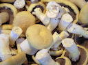 stropharia geel